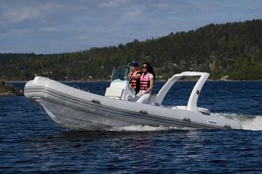 Bateaux gonflables à fond rigide, pontons gonflables, bateaux de pêche à moteur fournisseur