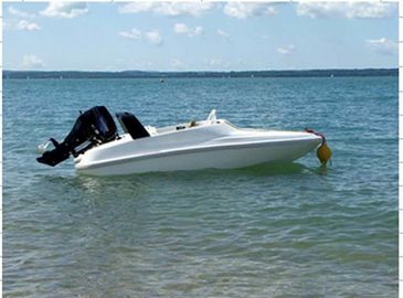 10.5 pieds de saut à l'eau pour les yachts sur mesure pour deux personnes DE enfants fournisseur